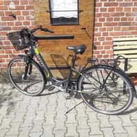 Zündapp E-Bike "City" Z510 Rheinland-Pfalz - Kircheib Vorschau