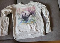 Panda Sweatshirt von H&M Gr.170 let's go wild Nordrhein-Westfalen - Stolberg (Rhld) Vorschau