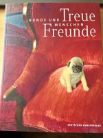 Treue Freunde - Hunde und Menschen. Nordrhein-Westfalen - Reichshof Vorschau