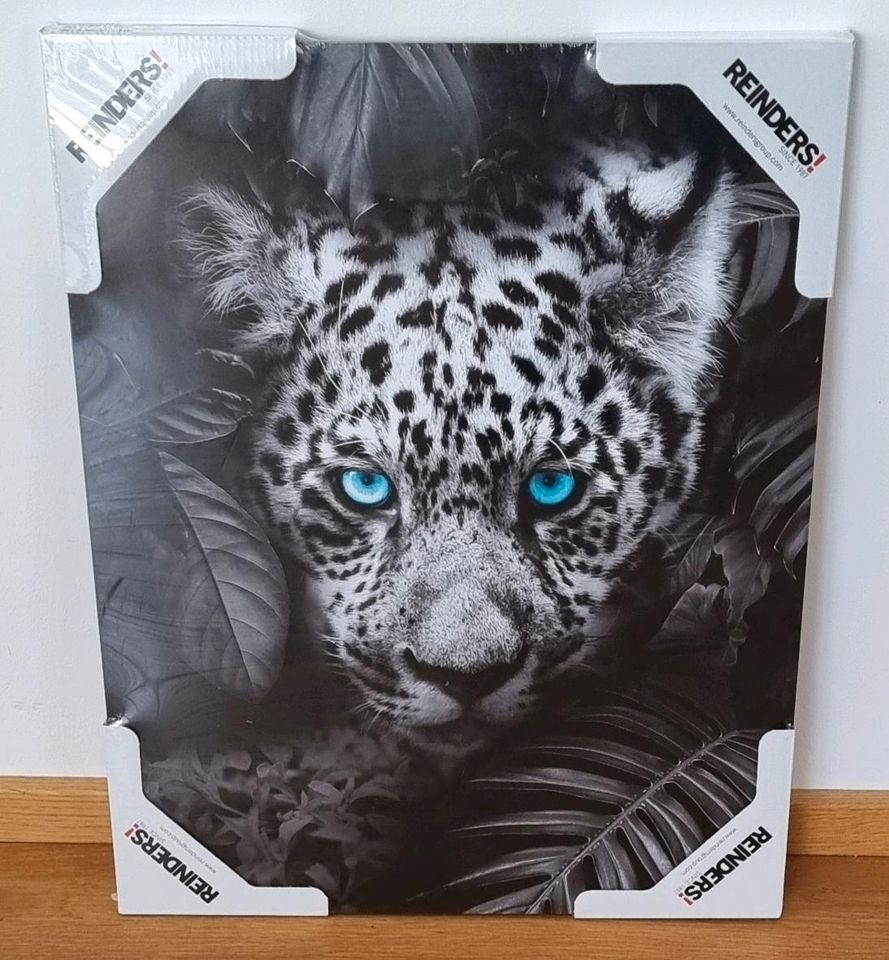 schwarz Bayern Leopard« ist NEU | Holzbild in eBay OVP Reinders! Augsburg »Blue jetzt Kleinanzeigen Eyed Kleinanzeigen weiß -