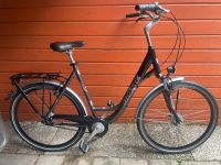 28 Zoll RIXE Toulouse XXL Fahrrad RH60cm/bis170kg 8gang-Rücktritt Wandsbek - Hamburg Jenfeld Vorschau