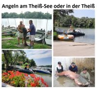 Angeln in Ungarn- Nähe Theiß-See & Nat.park Hortobagy Sachsen - Freital Vorschau