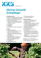 Gärtner/ Grünpfleger (m/w/d), für den Raum Düsseldorf Nordrhein-Westfalen - Ratingen Vorschau