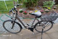 28er Herren E-Bike - Marke Raleigh Dover 7HS Schleswig-Holstein - Jübek Vorschau