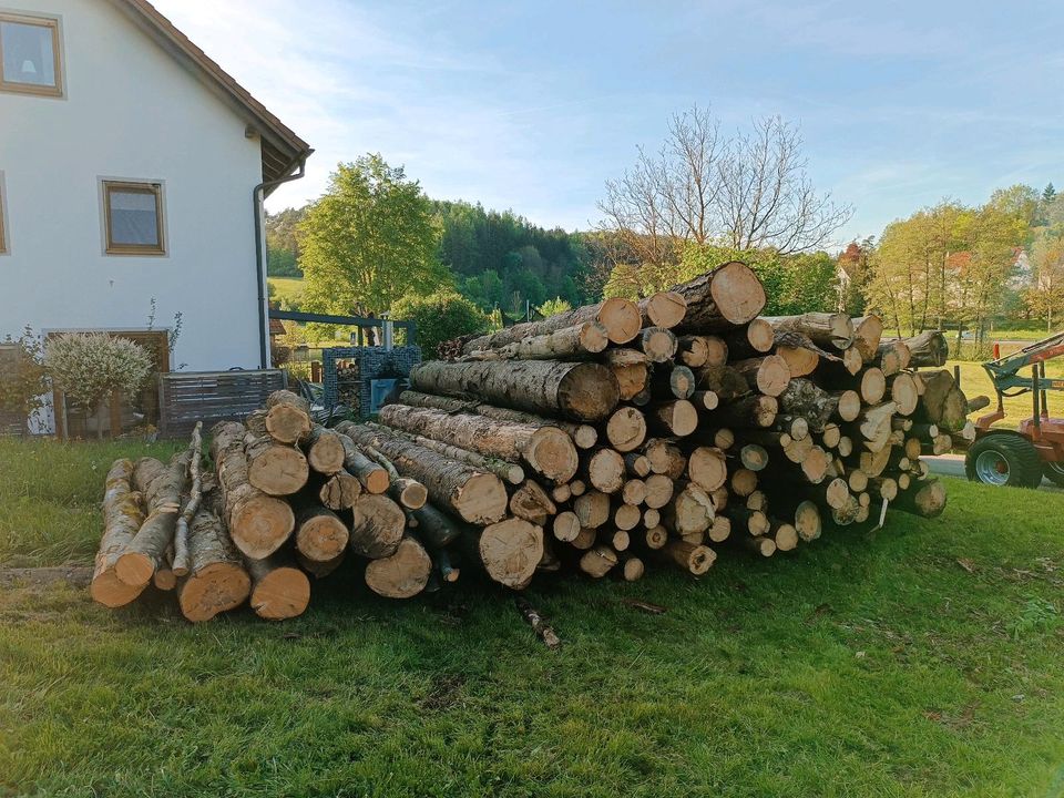 Brennholz Buche Fichte Kiefer FK Holz in Heiligenstadt