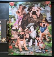 Puzzle 3D Hundefamilie 500 Teile 50x40 cm Baden-Württemberg - Friedrichshafen Vorschau