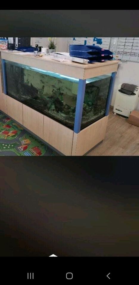Aquarium in gutem Zustand in Aalen