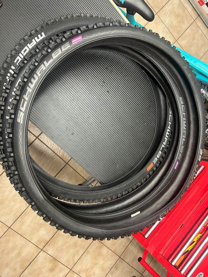 Schwalbe Dirty Dan und Schwalbe Magic Mary 29 zoll in Waldmohr