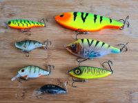 Angelköder-Set / Jerkbaits / Hardbaits / Wobbler Sachsen-Anhalt - Petersberg (Saalekreis) Vorschau