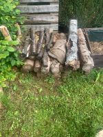 Brennholz verschiedene Längen Hessen - Brechen Vorschau