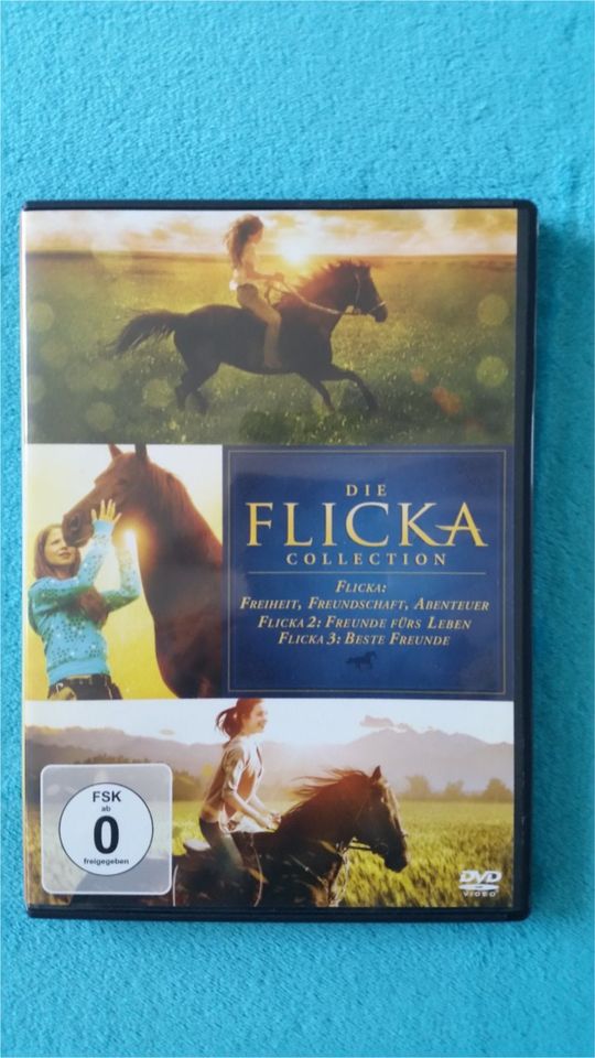 Pferde Filme DVDs Flicka uvm in Grafschaft