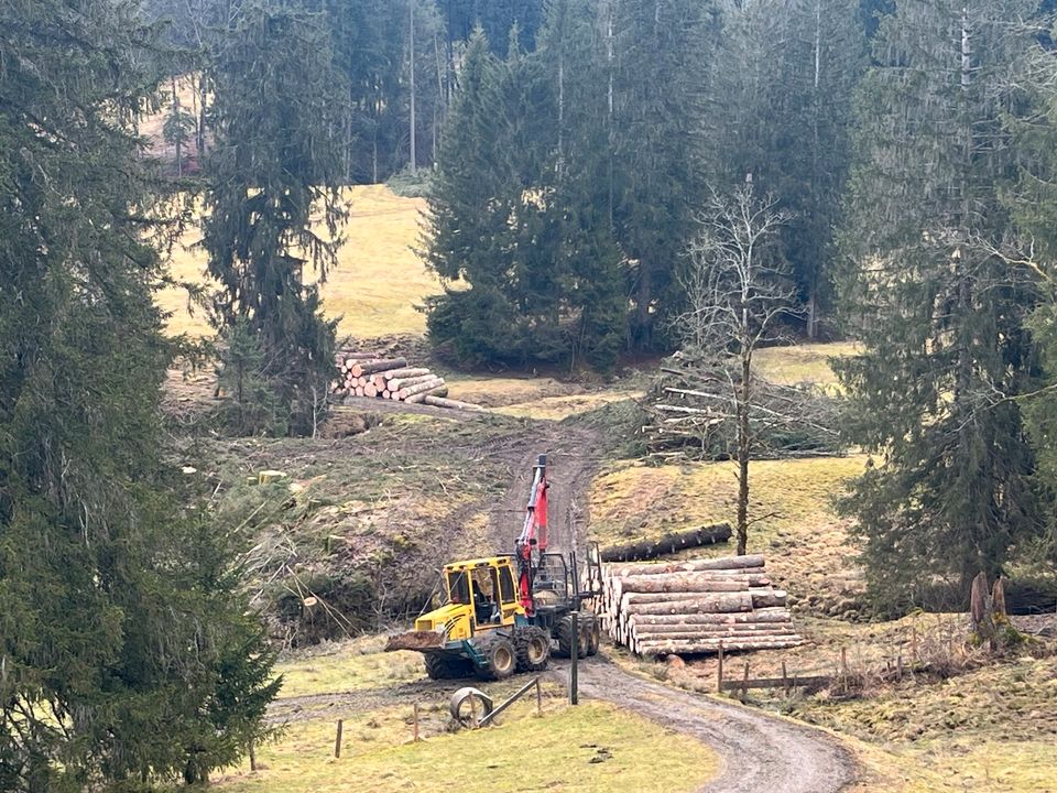 Forstbetrieb sucht Forstwirte sowie Maschinisten im Oberallgäu in Weitnau