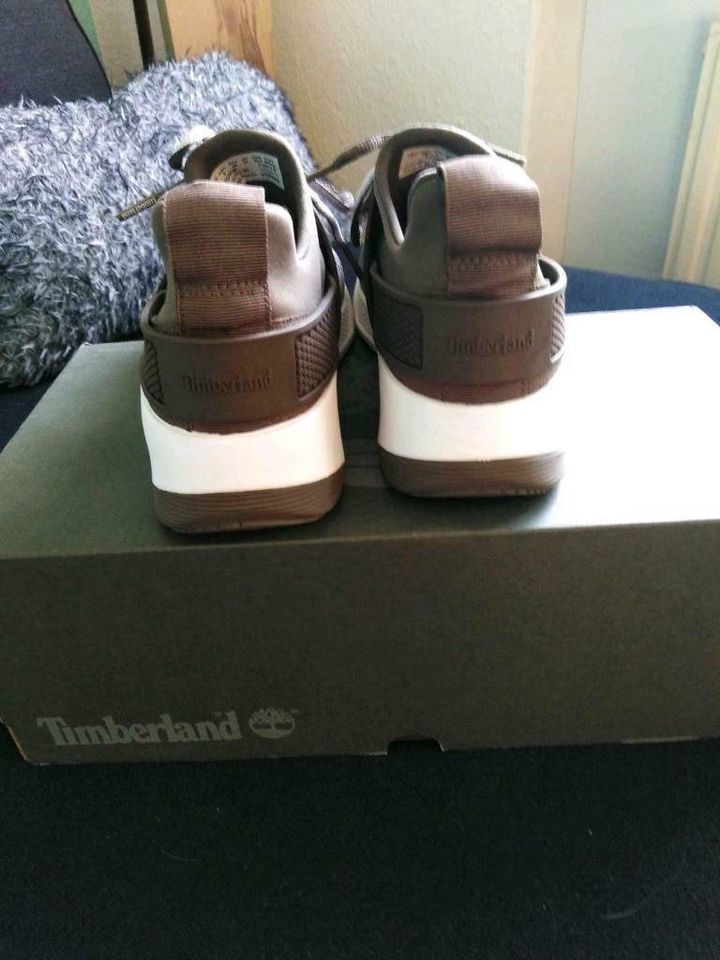 Timberland Sneaker - - NEU in Hagen
