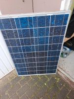 Solarpanel 80w Bergedorf - Hamburg Allermöhe  Vorschau