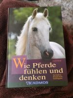 Wie Pferde fühlen und denken Nordrhein-Westfalen - Warburg Vorschau