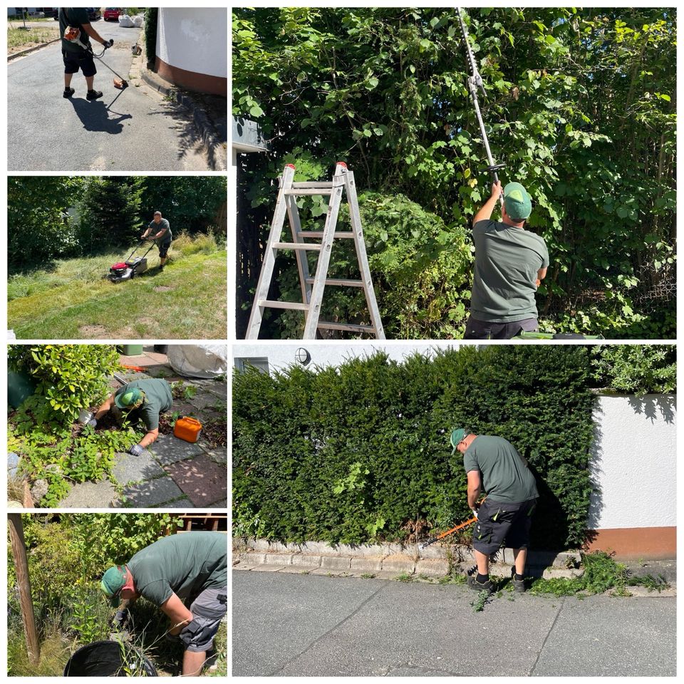 Gartenarbeit & Gartenpflege, Unkraut entfernen, Heckenschnitt in Nürnberg (Mittelfr)