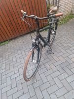 Windora Herrenrad Trekking Bike 28" Braun Schwarz Hannover - Bothfeld-Vahrenheide Vorschau