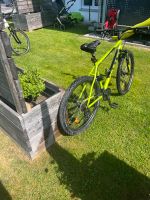 Fahrrad Mountainbike Baden-Württemberg - Isny im Allgäu Vorschau