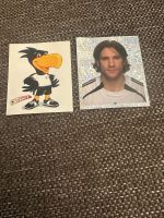 Panini Deutsches Nationalteam 2006 Sticker 1 und 106 Niedersachsen - Lengede Vorschau