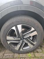 Continental PremiumContact 6  235/55 R19 V XL Nordrhein-Westfalen - Bornheim Vorschau