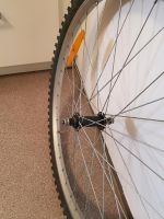 26er Vorderrad vom Trekking- / Mountainbike, Alu-Felge mit Reifen Münster (Westfalen) - Mecklenbeck Vorschau