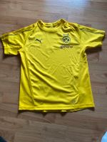 Dortmund Trikot Trainingsshirt 152 Nordrhein-Westfalen - Lippstadt Vorschau