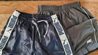 Sporthosen Shorts Puma + Nike, kurz, Training Sport Bayern - Pottenstein Vorschau