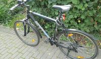 Bulls Wildcross RH58cm 28 Zoll Fahrrad Nordrhein-Westfalen - Gelsenkirchen Vorschau