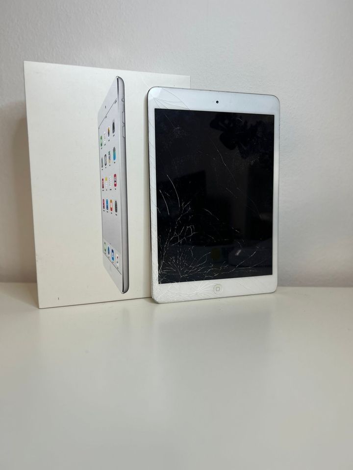 iPad Displayschaden in Neuhof