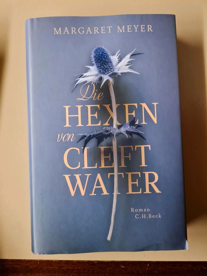 Buch Roman "Die Hexen von Cleft Water" in München