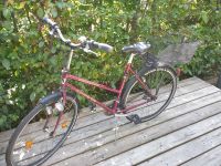 Damenfahrrad | Citybike von Checker pig Bayern - Neumarkt i.d.OPf. Vorschau