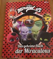 Miraculous Buch Landybug Nordrhein-Westfalen - Troisdorf Vorschau