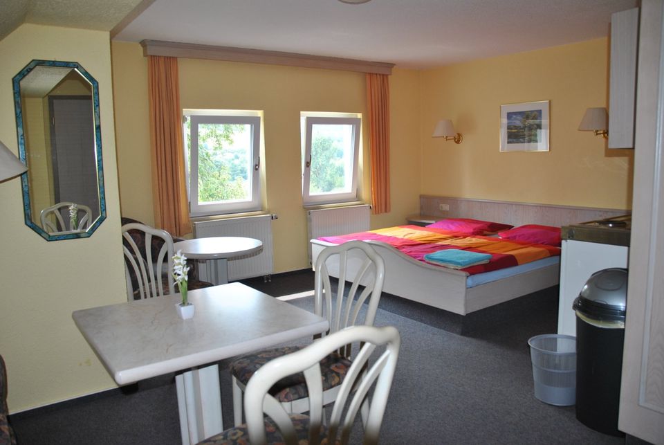 1 Zimmer Apartment, Wohnung möbliert, frei, Bad, WC, bei Eichstätt. SOFORT FREI in Dollnstein