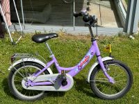 Puky 16 Zoll Mädchen Fahrrad lila West - Unterliederbach Vorschau