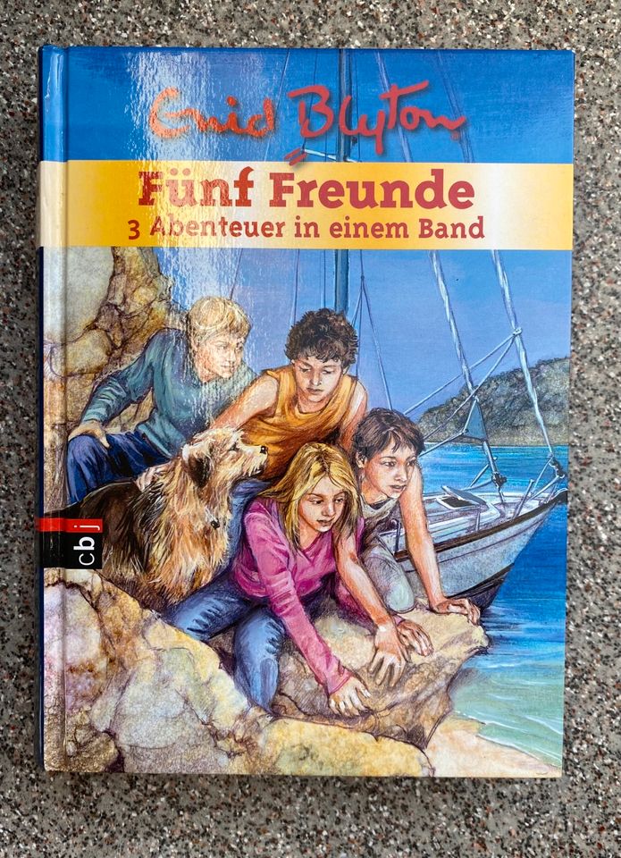 Die Schule der Alyxa Buch tale of magic Fünf Freunde in Illerkirchberg