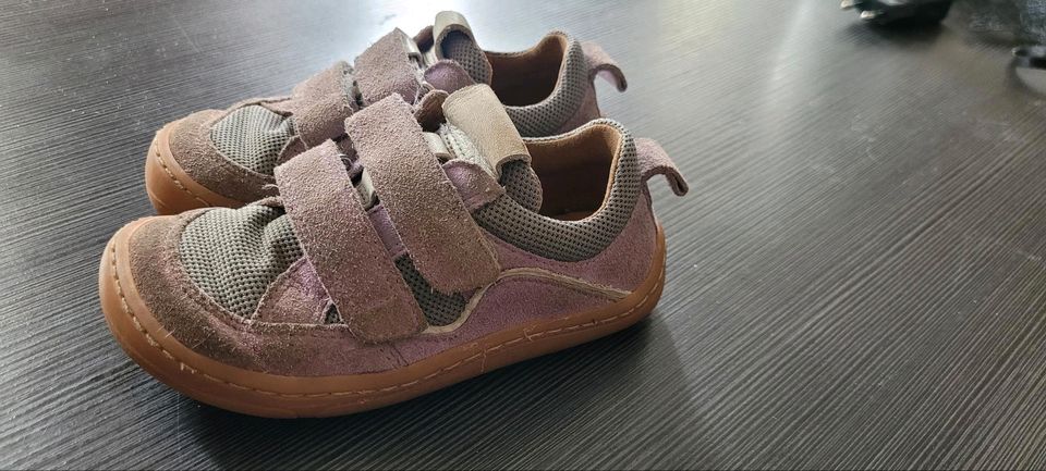 Froddo barefoot barfußschuhe sneaker lila 27 in Erfurt