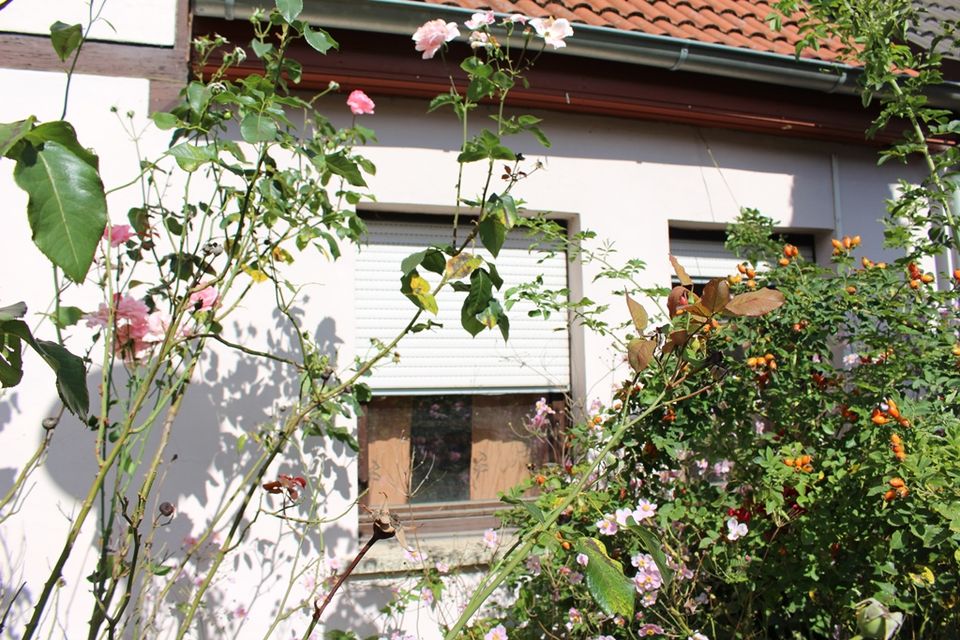 Nur zur Vermietung! Stark renovierungsbedürftiges Reihenhaus mit Garten in Salzwedel in Salzwedel