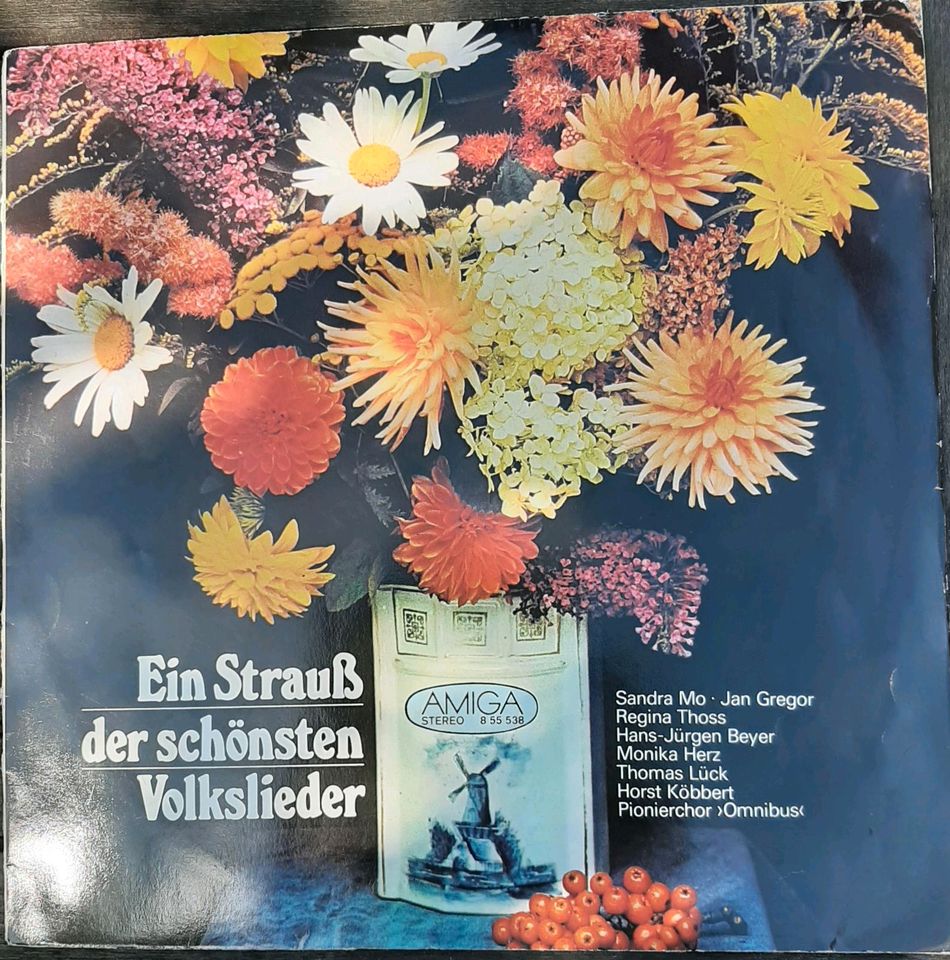 10 verschiedene LP - Schallplatten in Finsterwalde