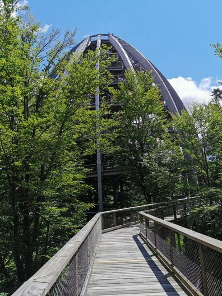 Bayerischer Wald auf 800 m Höhe -Willkommen in Schöfweg