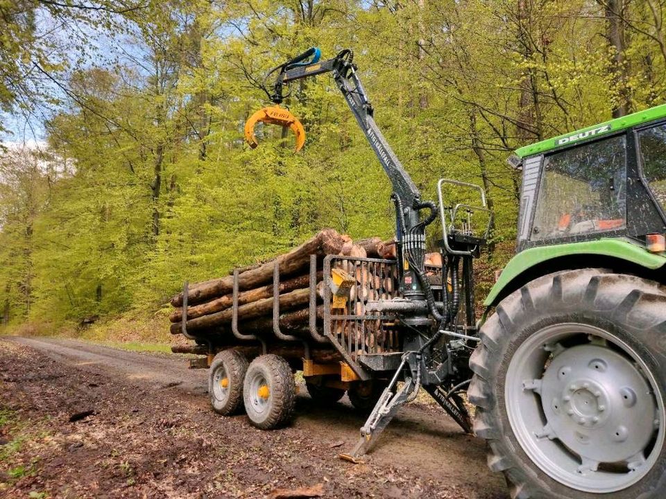 Forstservice Häckseln Mulchen Bauplatz Rodung Hecken schneiden in Marktheidenfeld