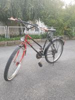 Pegasus Fahrrad Bayern - Schierling Vorschau