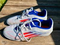 Adidas F50 Fußballschuhe, Hallenschuhe, Gr. 40,5 Hessen - Herbstein Vorschau