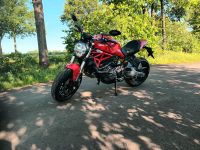 Ducati Monster 821 1. Hand Nordrhein-Westfalen - Petershagen Vorschau