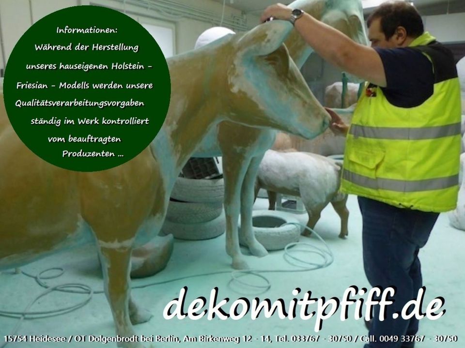 Holstein Friesian Kuh lebensgroß und Du bestimmst die Kopfblickrichtung vor dem Kauf. Sie ist mit und ohne Horn erhältlich. Neue Generation von 3D Kühen . Tel. 033767 30 750 od. 0049 33767 30750 in Heidesee