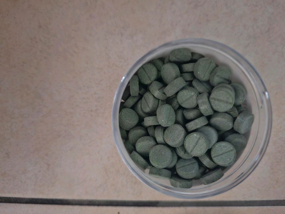 Plankton24 - Spirulina Tabs - Algen für Meerwasserfische Scheibe in Fichtenberg