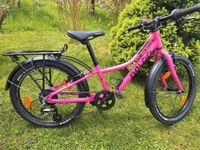 Kinderfahrrad 20 Zoll Naloo Chameleon Baden-Württemberg - Illerkirchberg Vorschau