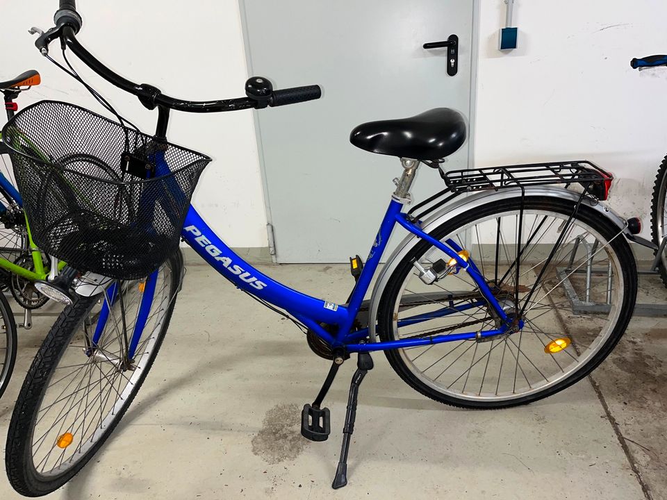 Pegasus Damenfahrrad 7 Gänge mit Korb und Gepäckträger in Regensburg