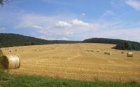 Biete ca. 30 ha Ackerland in CZ an, Grenznähe, Bio Bayern - Selb Vorschau