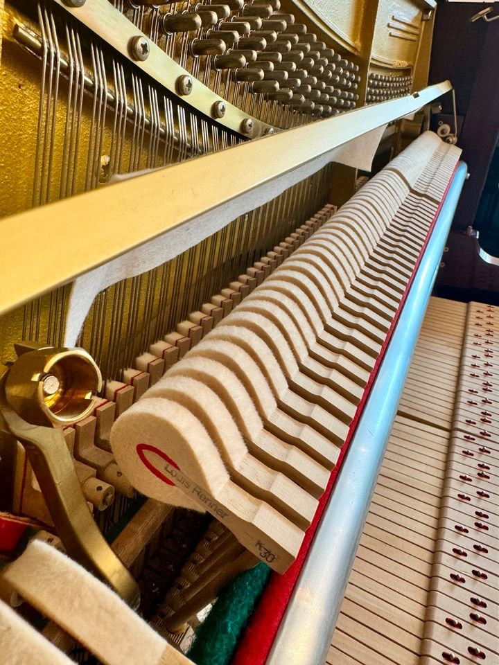 Schimmel 130T/ Neukauf 2001, Neuwertig, 2J.Garantie!Piano,Klavier in Kronach