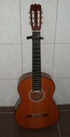 Chinchilla Gitarre C-102 Nordrhein-Westfalen - Reichshof Vorschau